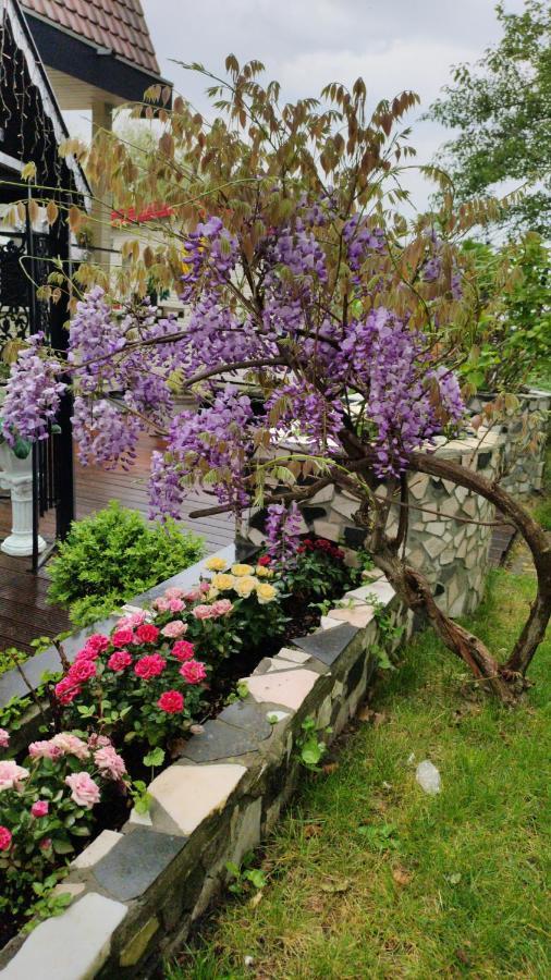 B&B Hotel Elselina Schiedam Εξωτερικό φωτογραφία